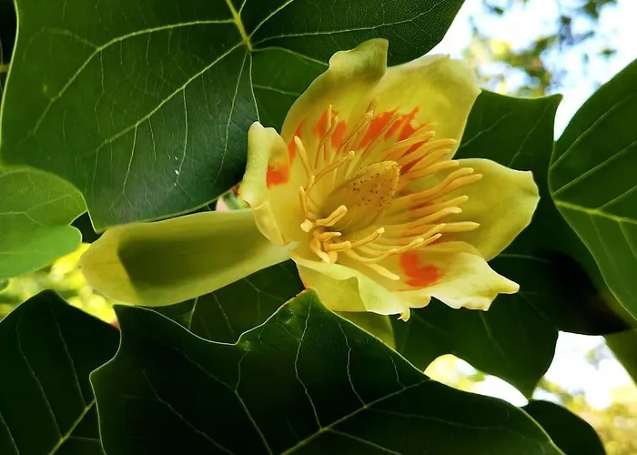 Villa La Maison De Carmen *