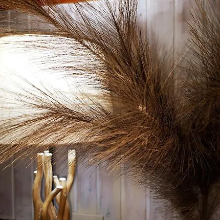 וילה La Maison De Carmen אאוסטה