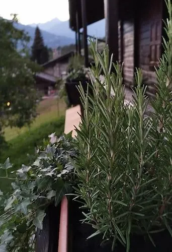 וילה La Maison De Carmen