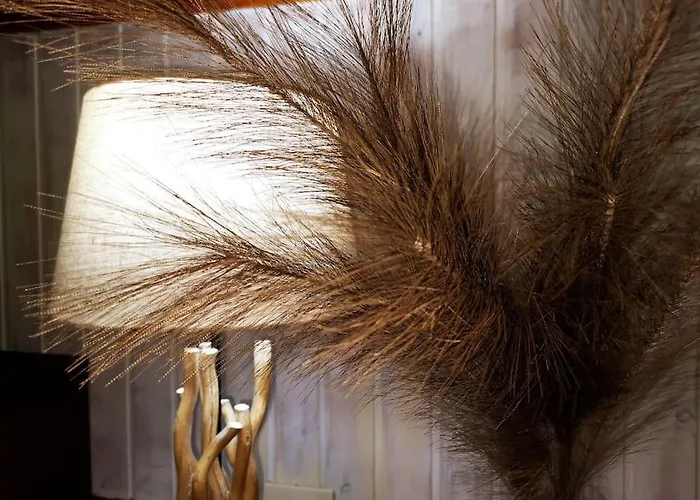 וילה La Maison De Carmen אאוסטה